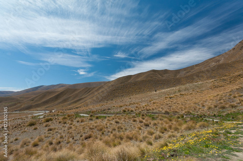 Mackenzie Basin hills in Central Otago  South Island  New Zealand