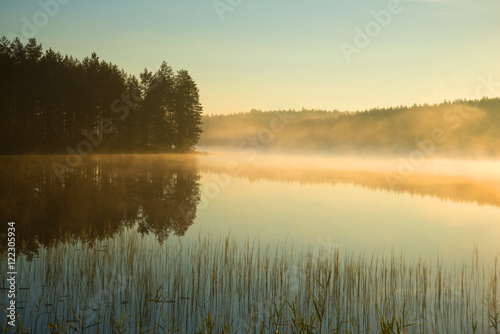 Misty august morning on forest lake. Finland