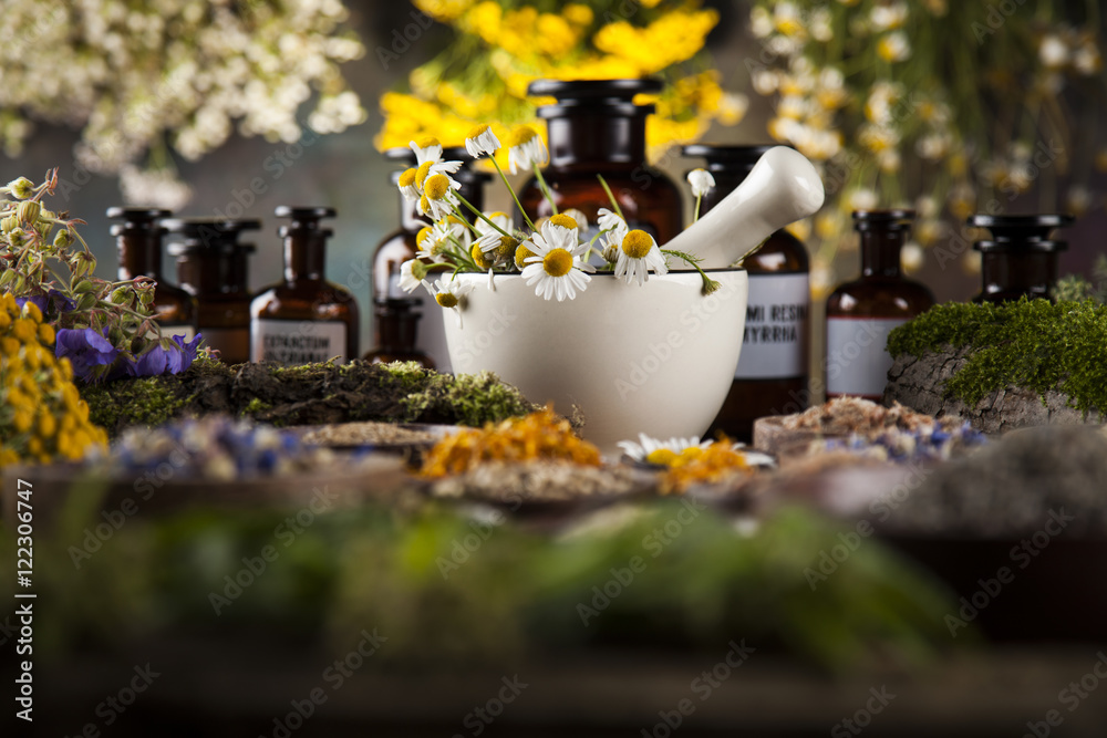 Assorted natural medical herbs and mortar on wooden table backgr