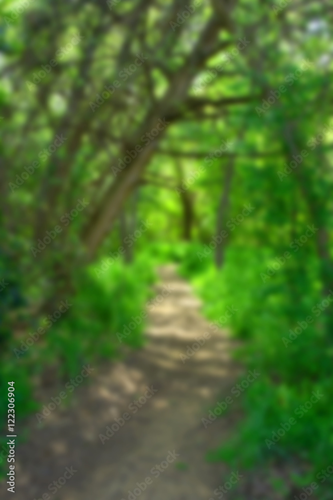 A blurry of walking trail in jungle with fresh greenery backgrou
