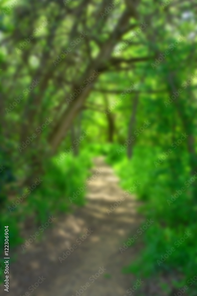 Fototapeta premium A blurry of walking trail in jungle with fresh greenery backgrou