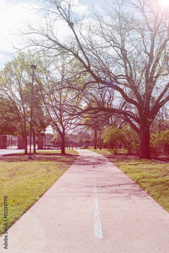 Trees and jogging track at the park in the morning with soft lig Trees and jogging track at the park in the morning with soft lig