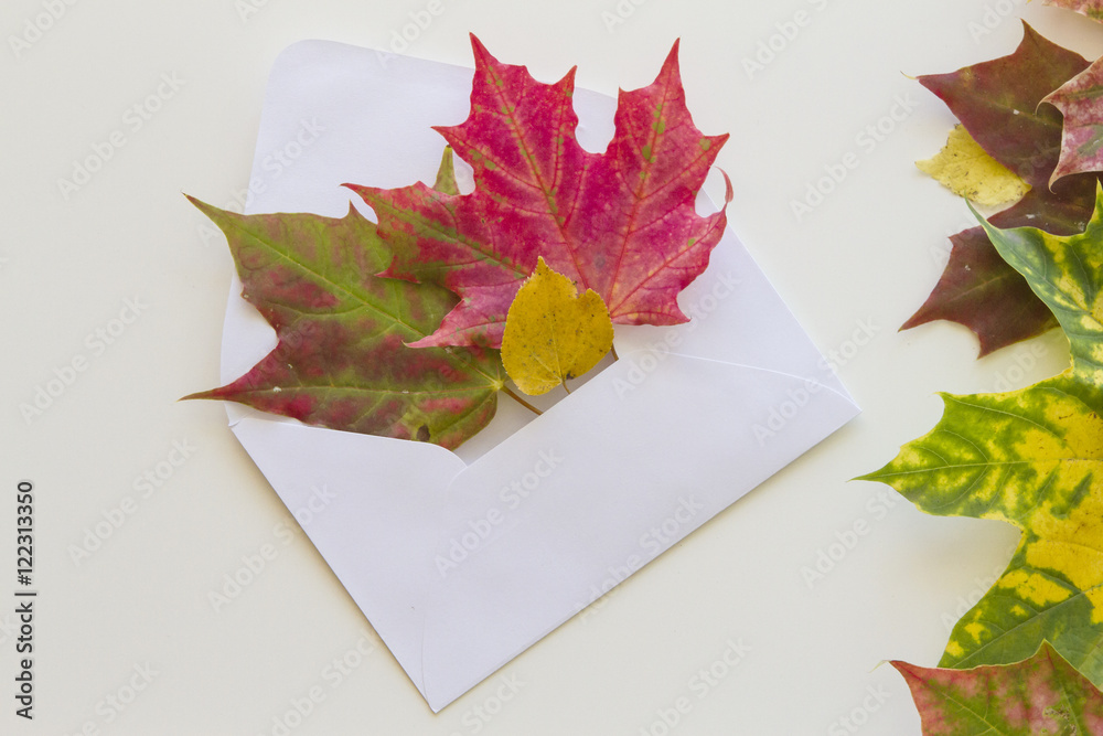 Colorful autumn leaves and open envelop on white background. Close up.