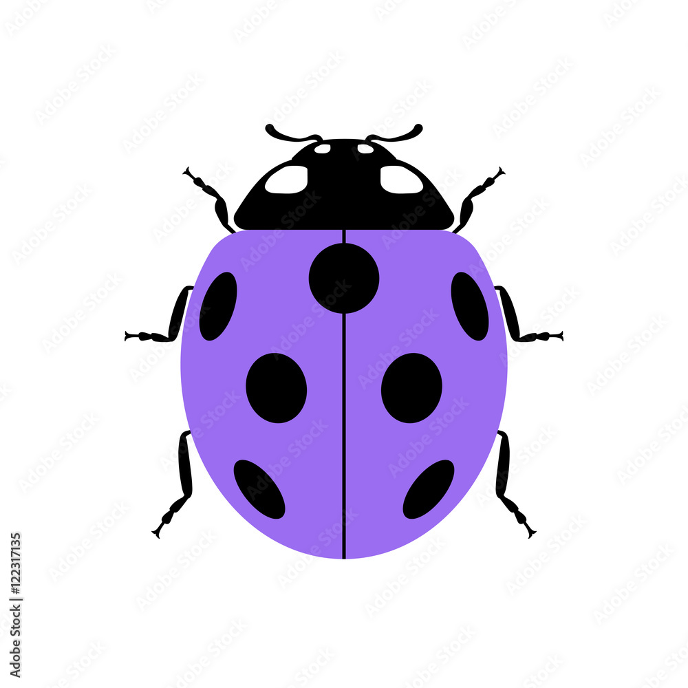Fototapeta premium Ladybug small icon. Lilac lady bug sign, isolated on white background. Wildlife animal design. Cute colorful ladybird. Insect cartoon beetle. Symbol of nature, spring or summer. Vector illustration