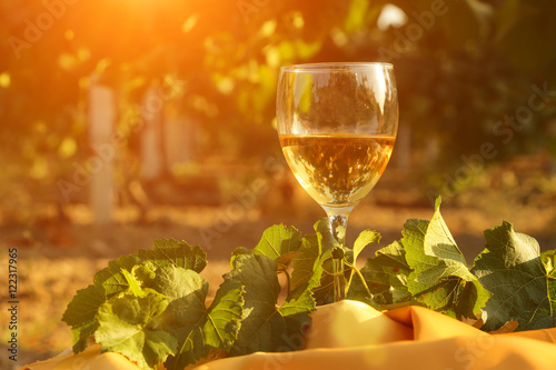 glass with white wine in vineyard on old table. Vineyard at sunset. White wine glass, wine bottle and white grape on wood table with copy space