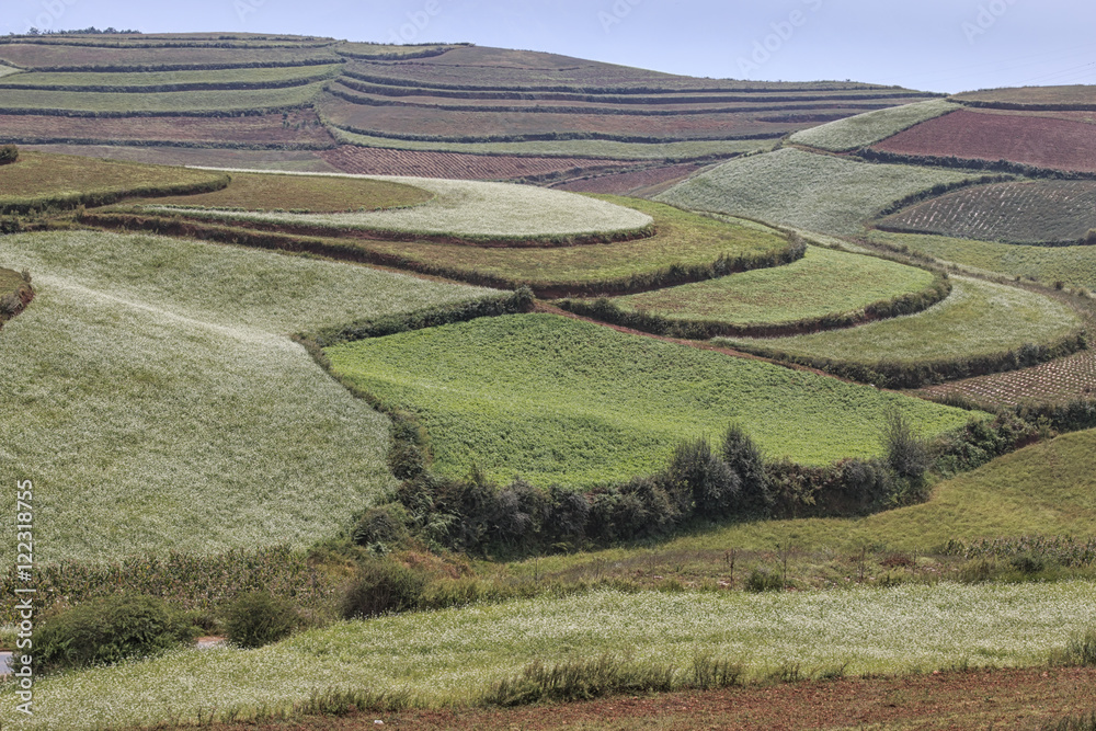Panoramic view of DongChuan red land, one of the landmarks in Yunnan Province, China