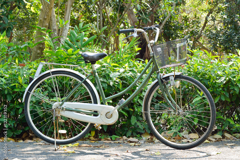 a green bike on a nature background