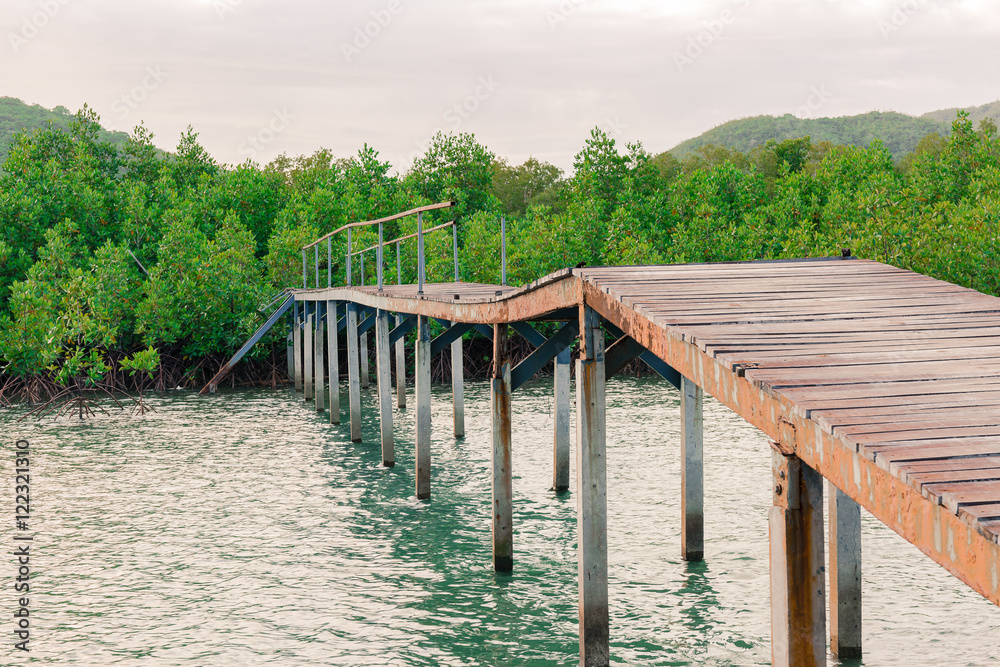 Fototapeta premium Wood path over river and through tropical forest