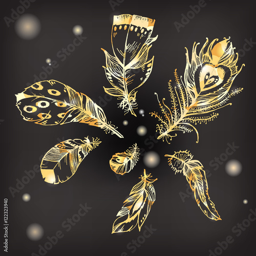 Hand drawn vector painted collection with bird feathers isolated