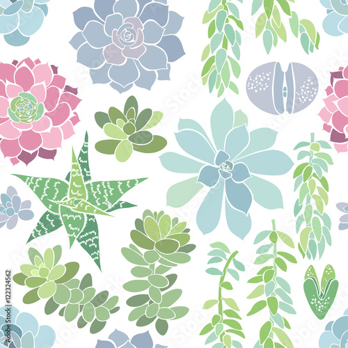 Seamless pattern with a succulents  on a white background.
