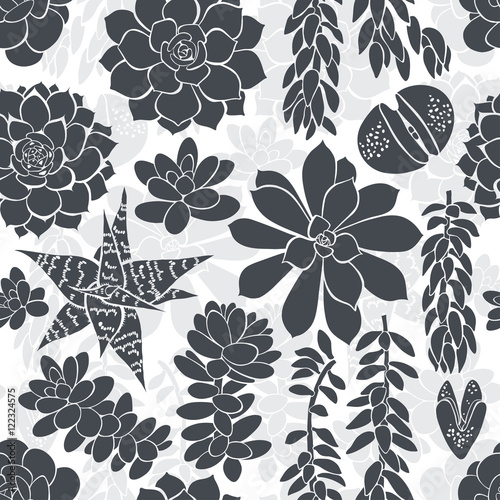 Seamless pattern with silhouettes of different succulents. Black and white floral background