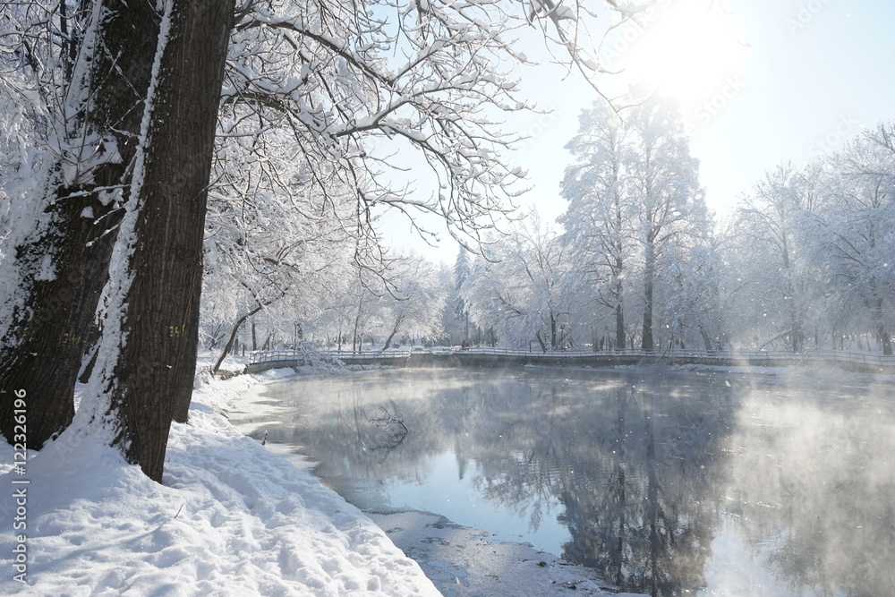 Winter landscape in the park. High resolution and quality Winter landscape in the park. High resolution and quality