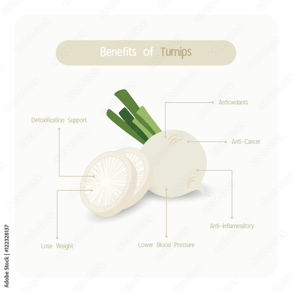 Infographic for turnip benefits with handwriting font style Stock