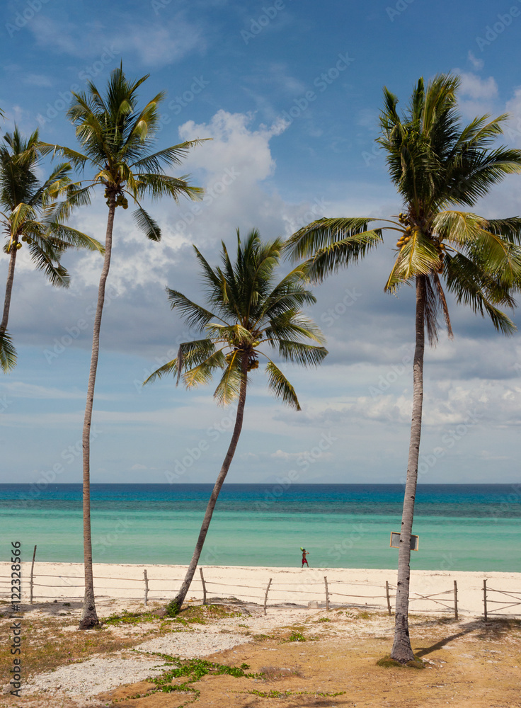 Palm trees on tropical beach. Bantayan, Philippines.