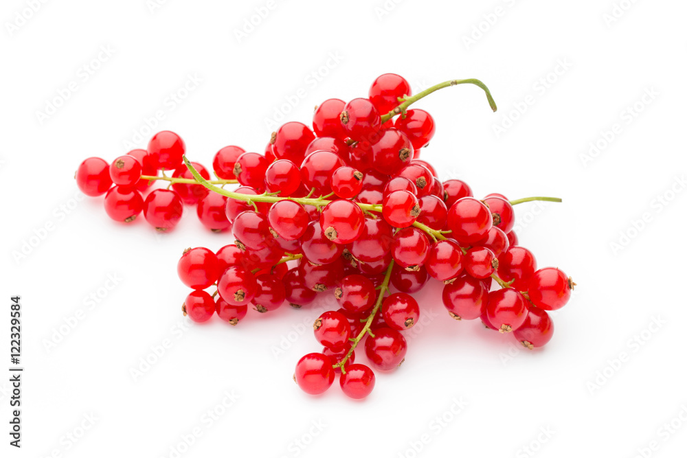 Red Currant close up isolated on white. Red Currant close up isolated on white.