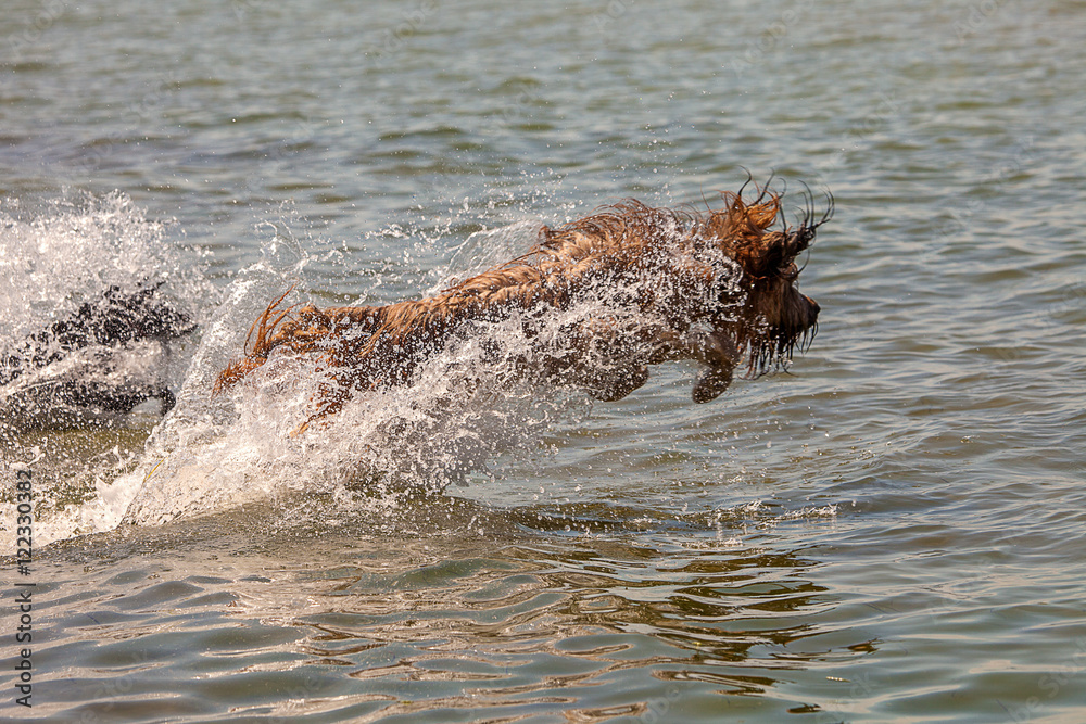 Fototapeta premium Badespaß