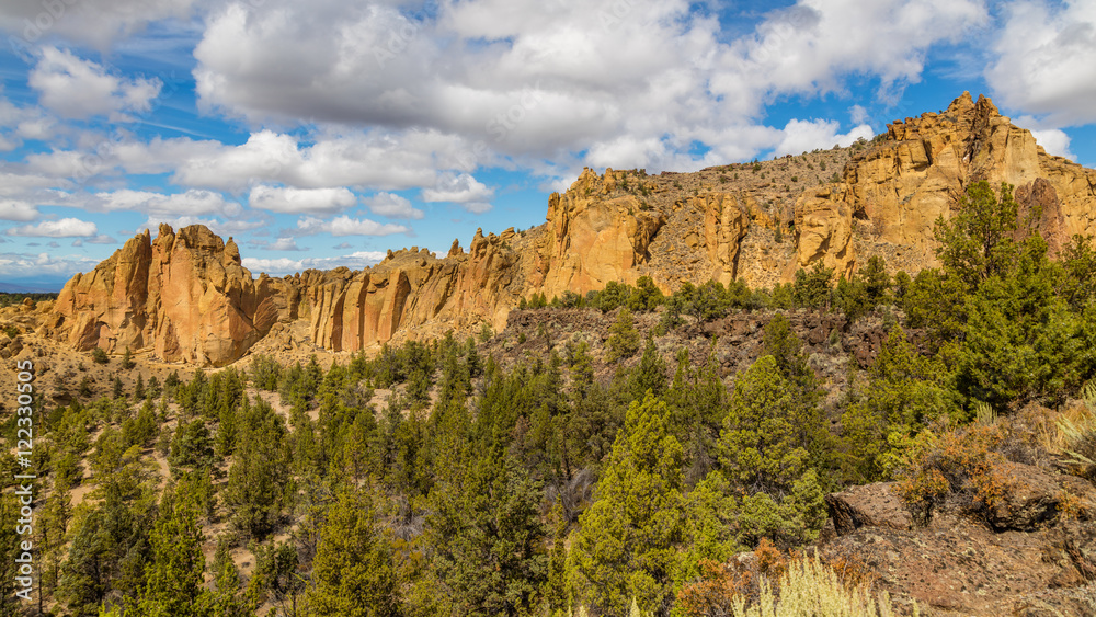 Lonely tree growing between rocks.The sheer rock walls.  Beautiful landscape of yellow sharp cliffs. Smith Rock state park, Oregon