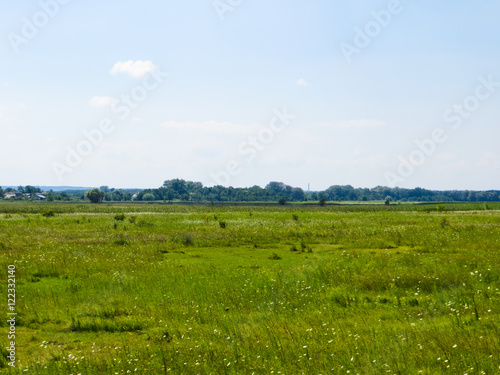 Wide green meadow © ihorbondarenko