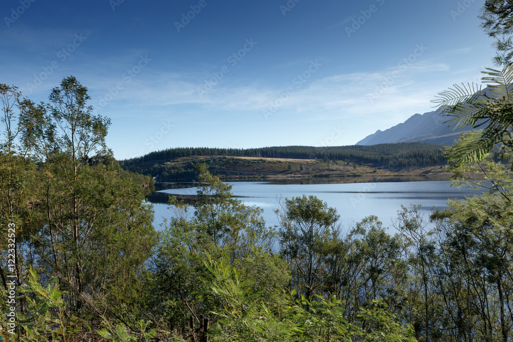 Wide Lake with green trees a typical Landscape of South Africa Wide Lake with green trees a typical Landscape of South Africa