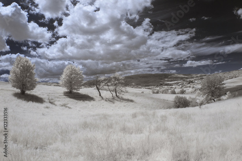 Infrared landscape and details photo