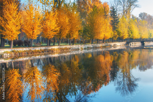 Beautiful autumn scene. Colorful foliage in the park in sunlight rays. 