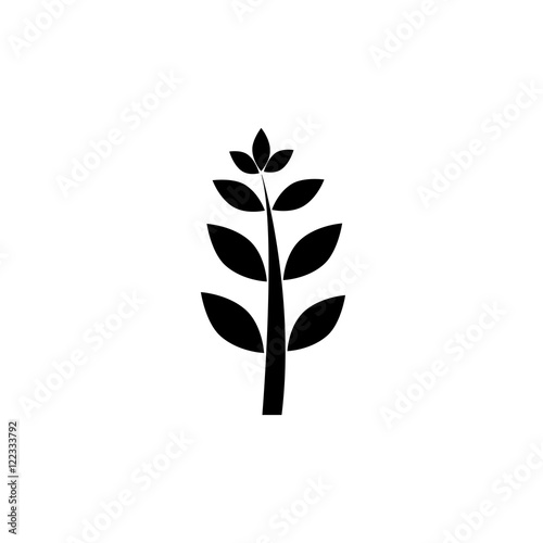 Silhouette of a tree isolated on white background