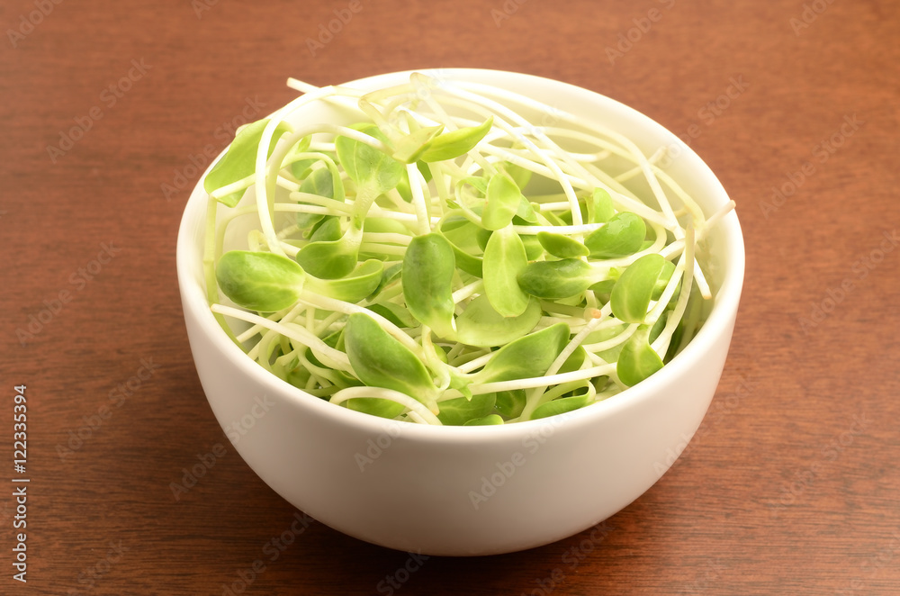 Sunflower sprouts Sunflower sprouts