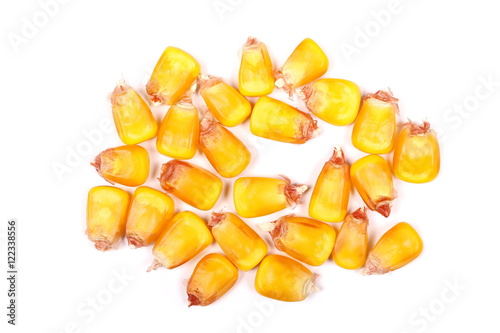 corn grains isolated on white background