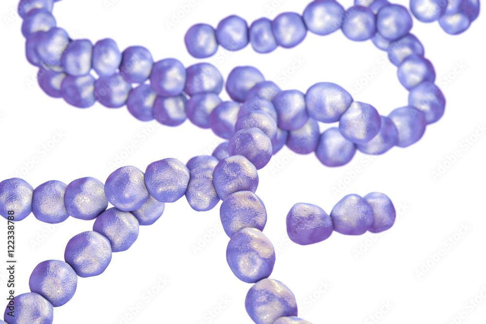 Bacteria Streptococcus, gram-positive spherical bacteria isolated on white background. 3D illustration Bacteria Streptococcus, gram-positive spherical bacteria isolated on white background. 3D illustration