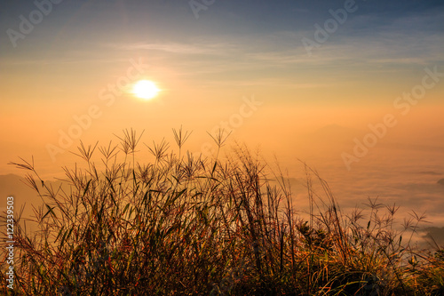 Sunrise on the mountain, North of Thailand