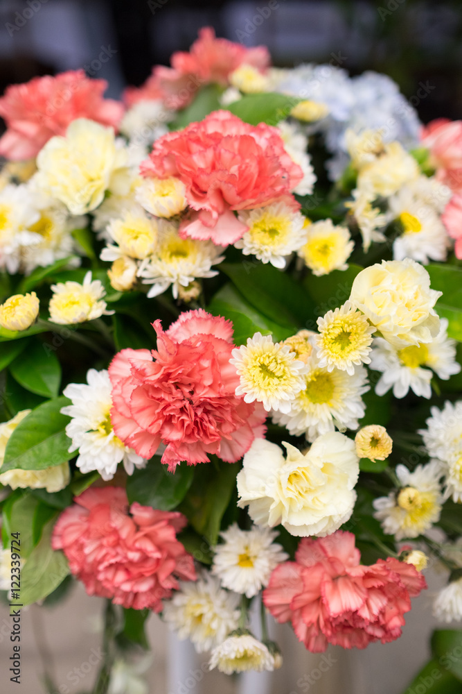 Abstract background of flowers. Close-up. Abstract background of flowers. Close-up.