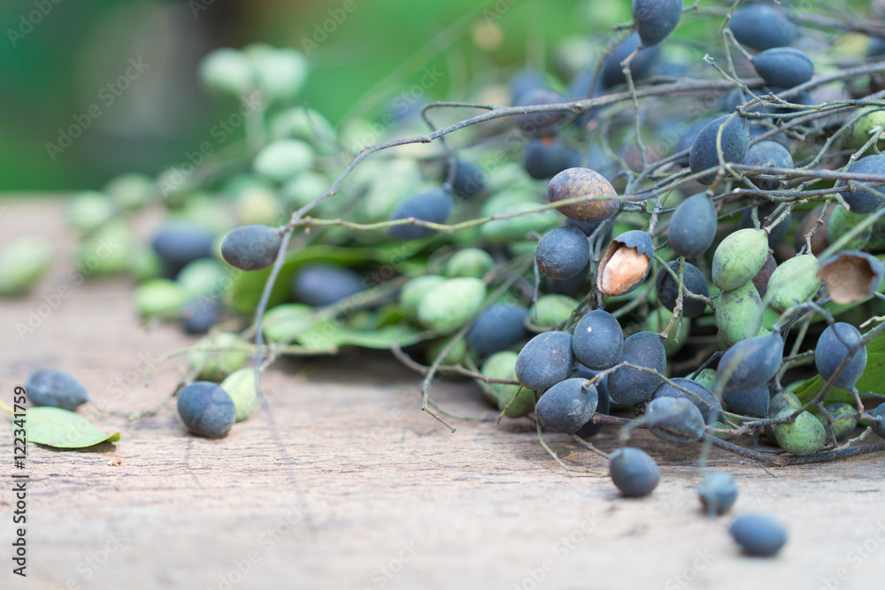 Velvet tamarind. Fruit native Thailand,Dialium cochinchinense pi Stock