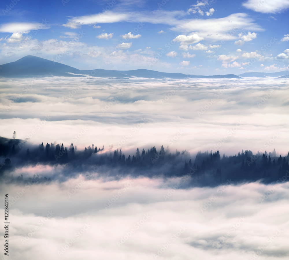misty sea Carpathians misty sea Carpathians