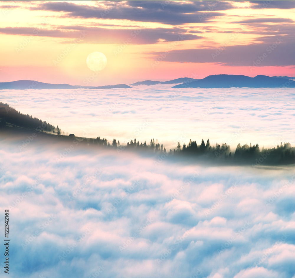 Obraz premium misty sea Carpathians