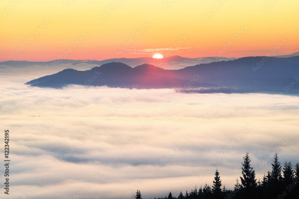 Obraz premium Foggy sunrise in the Carpathian mountains