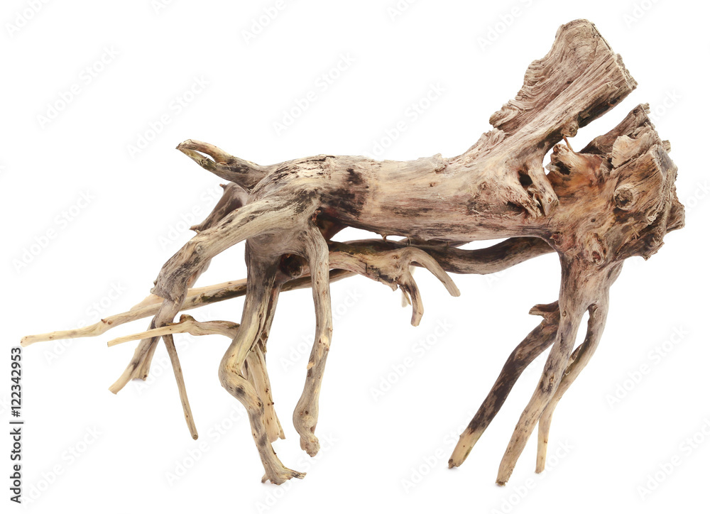 Driftwood Driftwood