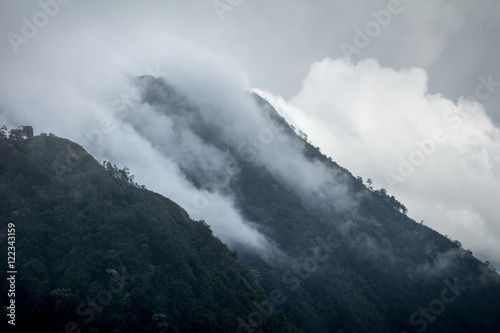 Land of Mist © 9kwan