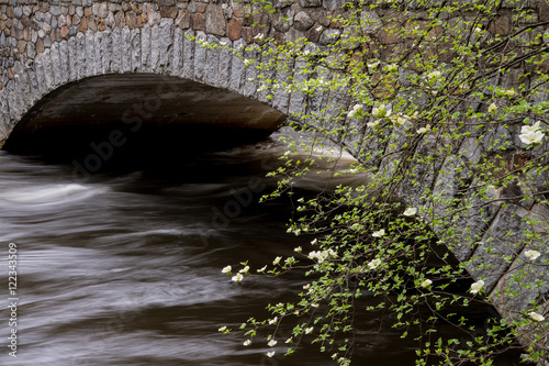 Pohono Bridge, Yosemite National Park photo