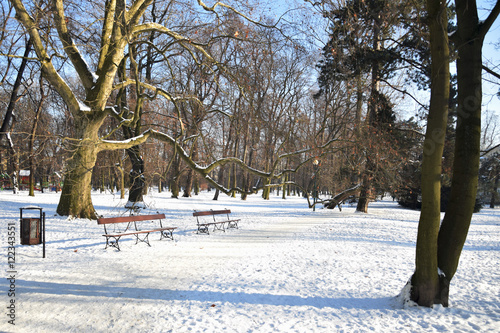 Zima w parku - Warszawa Włochy