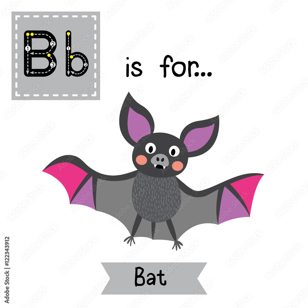 B letter tracing.Flying colorful Bat. Cute children zoo alphabet flash card. Funny cartoon animal. Kids abc education. Learning English vocabulary. Vector illustration.