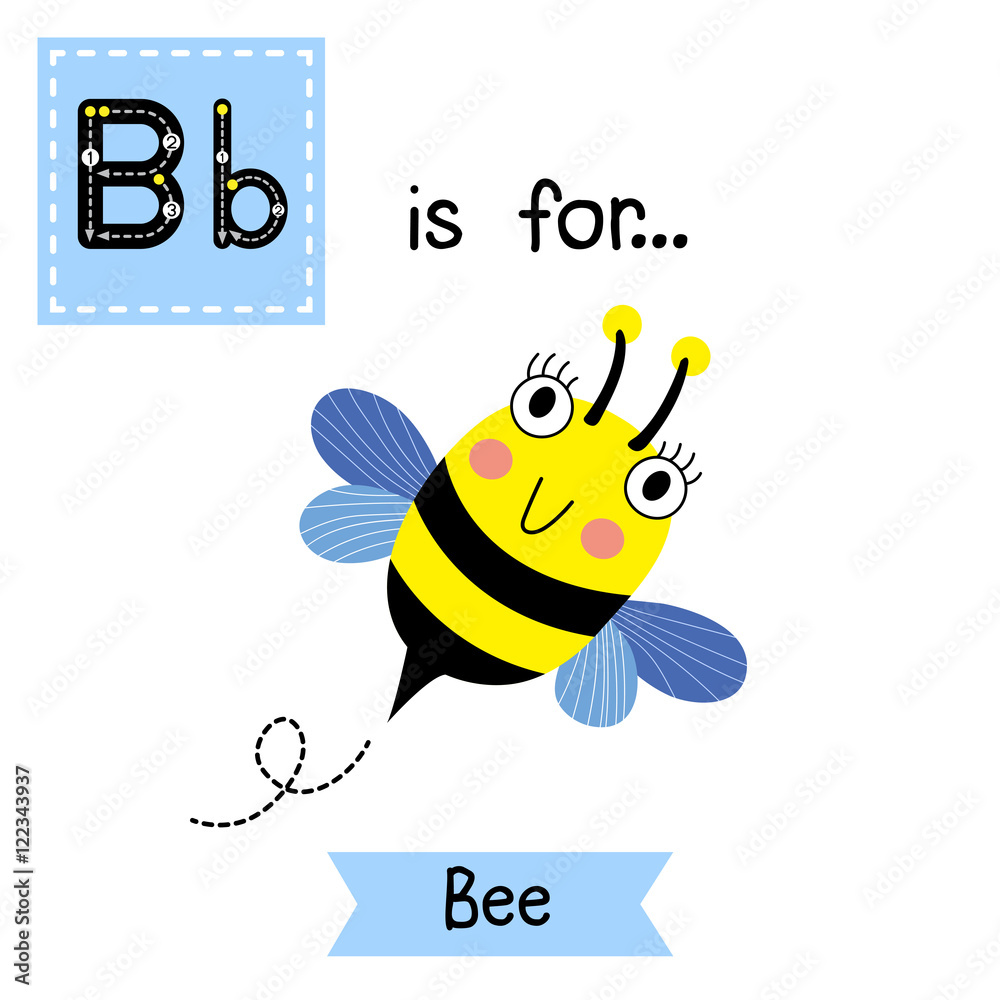 B Letter Tracing. Happy Bee Flying. Cute Children Zoo Alphabet Flash ...