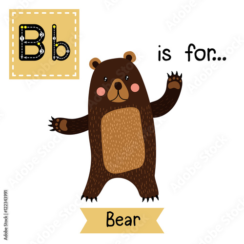 B letter tracing. Standing Bear raising two hands. Cute children zoo alphabet flash card. Funny cartoon animal. Kids abc education. Learning English vocabulary. Vector illustration.