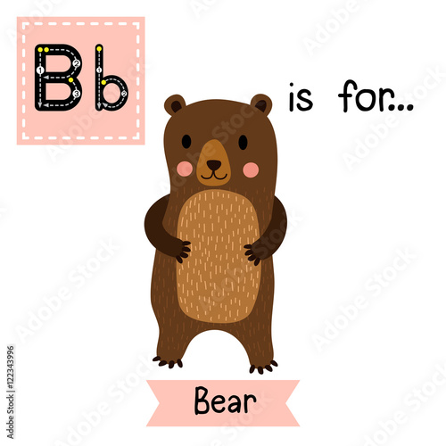 B letter tracing. Standing Bear. Cute children zoo alphabet flash card. Funny cartoon animal. Kids abc education. Learning English vocabulary. Vector illustration.