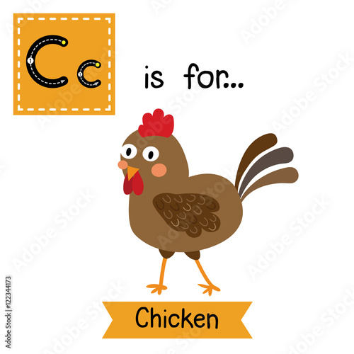 C letter tracing. Happy Chicken. Cute children zoo alphabet flash card. Funny cartoon animal. Kids abc education. Learning English vocabulary. Vector illustration.