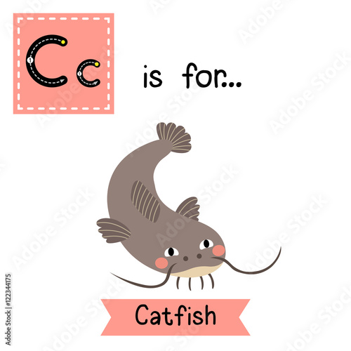 C letter tracing. Funny Catfish. Cute children zoo alphabet flash card. Funny cartoon animal. Kids abc education. Learning English vocabulary. Vector illustration.