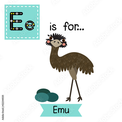 E letter tracing. Standing Emu with eggs. Cute children zoo alphabet flash card. Funny cartoon animal. Kids abc education. Learning English vocabulary. Vector illustration.