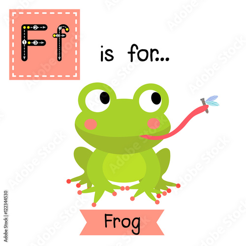 F letter tracing. Frog eating fly Cute children zoo alphabet flash card. Funny cartoon animal. Kids abc education. Learning English vocabulary. Vector illustration.