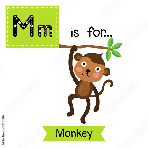 M letter tracing. Monkey. Cute children zoo alphabet flash card. Funny cartoon animal. Kids abc education. Learning English vocabulary. Vector illustration.