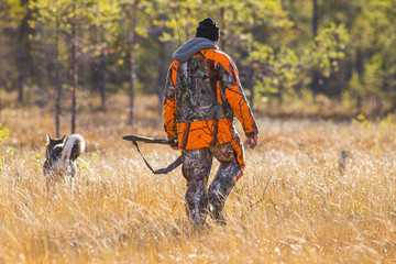 Papier peint photo Chasser Chien d'élan suédois en saison automnale  © RobertNyholm