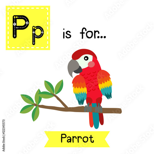 P letter tracing. Red Parrot bird. Cute children zoo alphabet flash card. Funny cartoon animal. Kids abc education. Learning English vocabulary. Vector illustration.